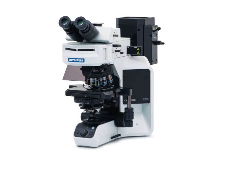 Olympus BX53 mikroskop sistemi